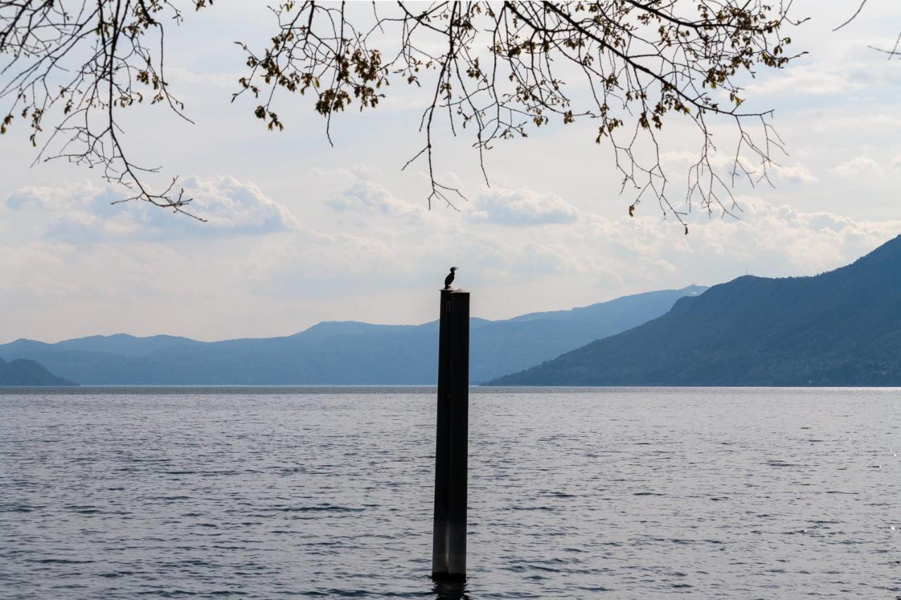 Casa Del Borgo "Terra & Fuoco" Sul Lago Maggiore Maccagno Екстер'єр фото